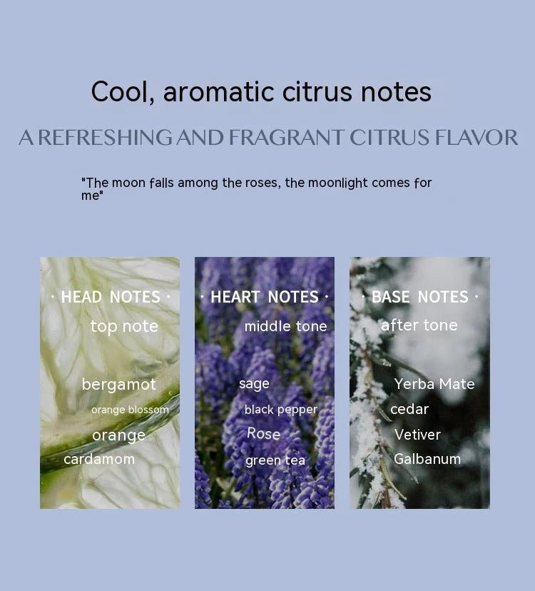 Men's Perfume